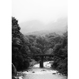 dailyPhoto1
